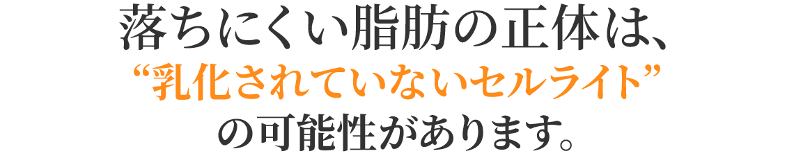 脂肪の正体